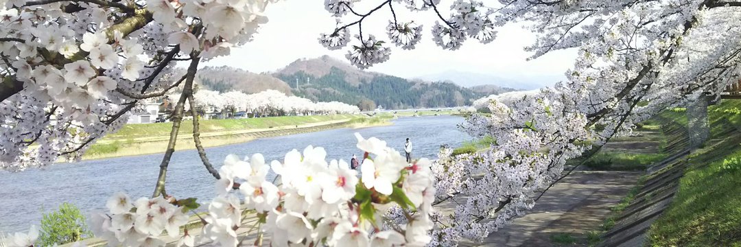 みつお banner