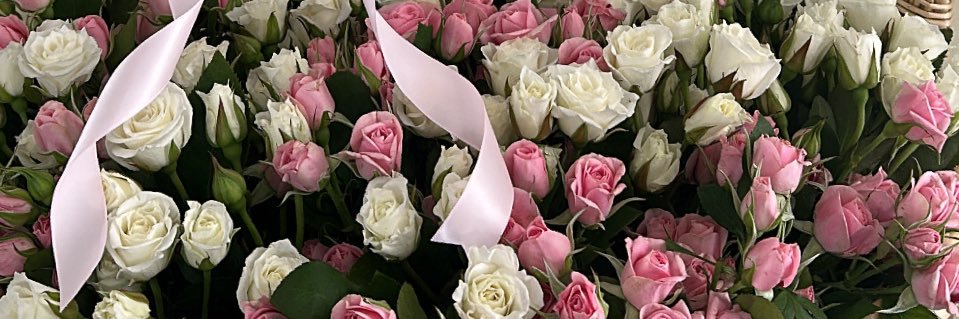 𝐿𝒾𝓈𝓈𝑒𝓉𝓉𝑒 ♡ banner