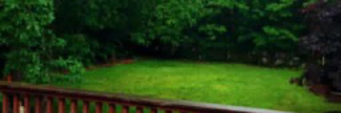 DOMINGO_LOPEZ_'s profile banner image