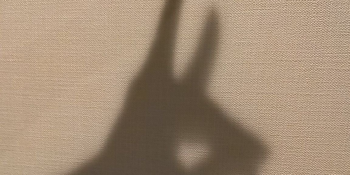 手ぎつねの人(射影前) banner