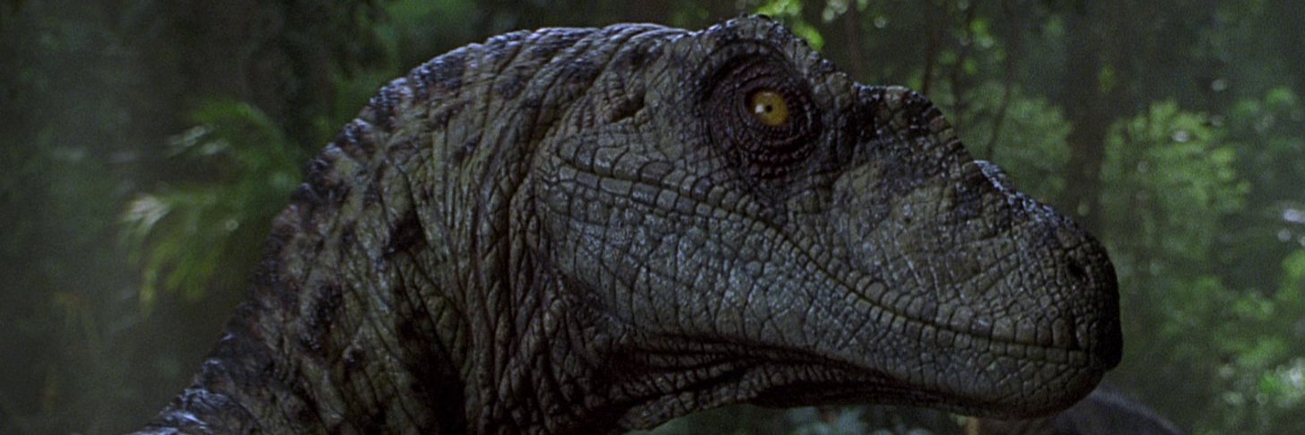 KenninRaptor's profile banner image