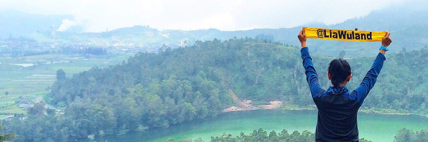 LiaWuland's profile banner image