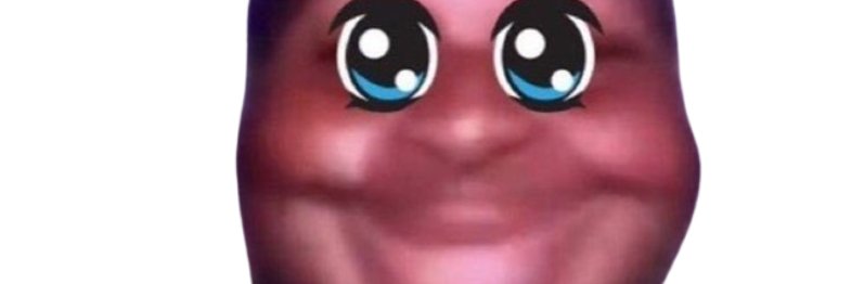 TurtleWitha's profile banner image