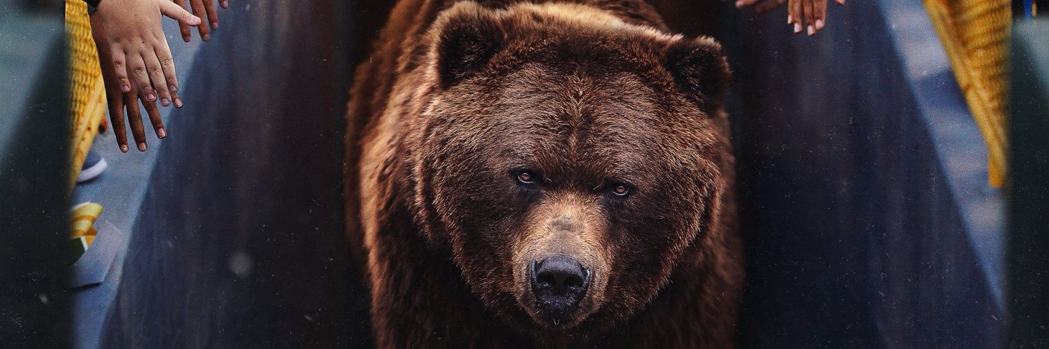 Stupid loyal Bears fan🍻 banner