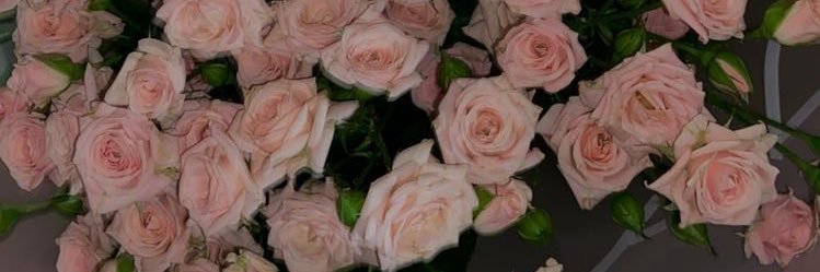 Luli_borda's profile banner image