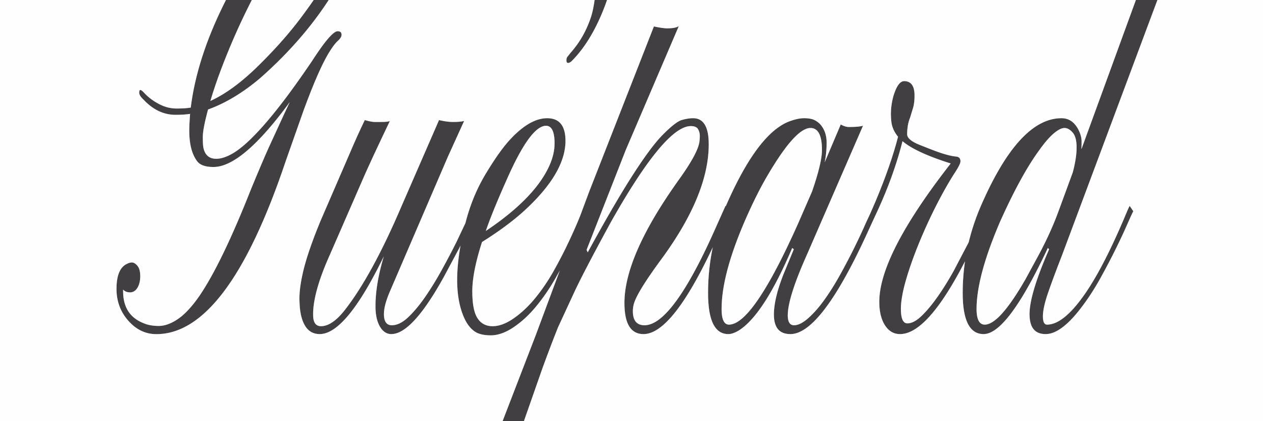 guepardistanbul's profile banner image