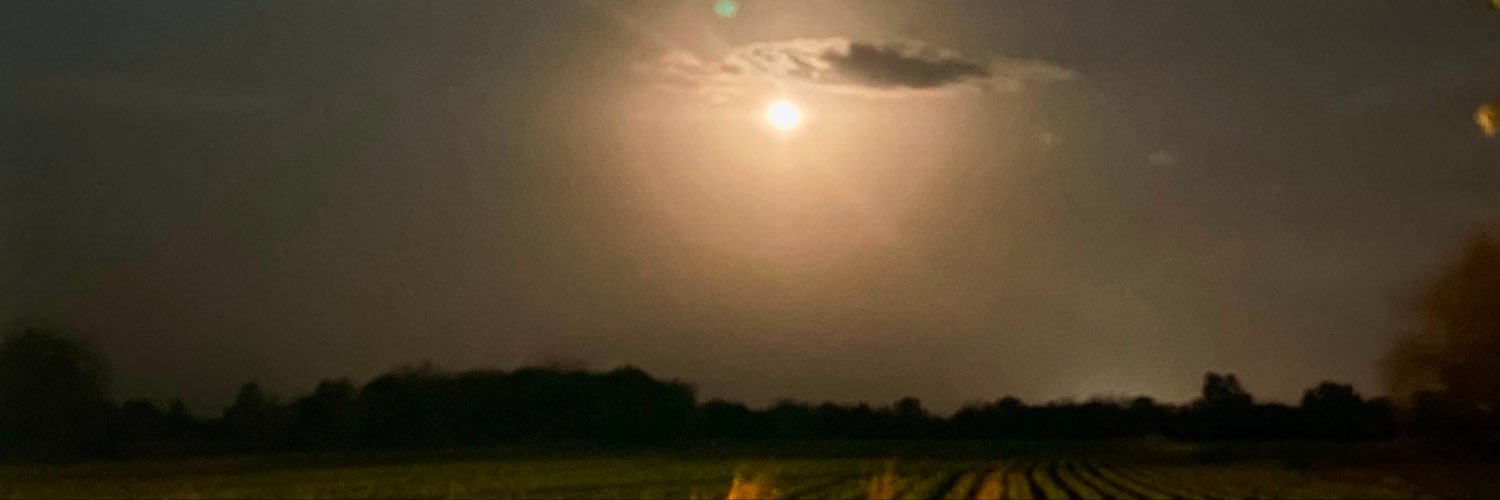 melanigoon_'s profile banner image