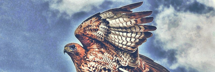 AuralAlchemist's profile banner image
