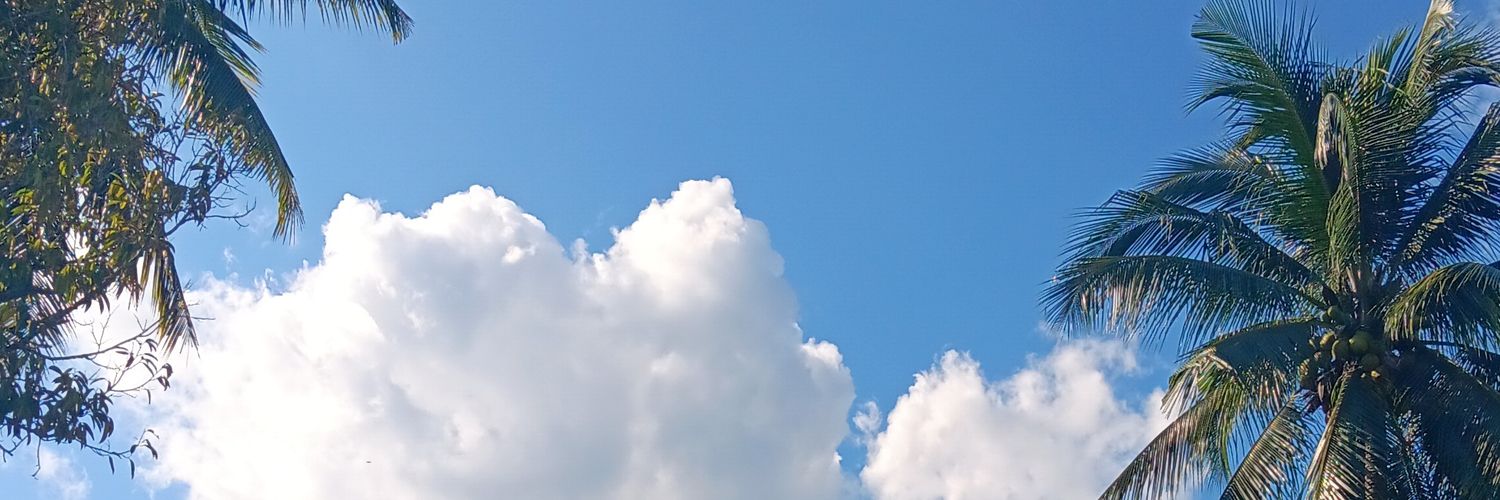 Jane banner