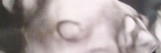racu_coy's profile banner image