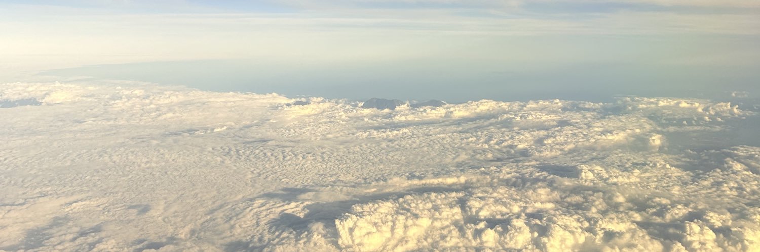 Niharika Mandhana banner