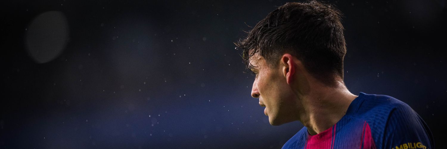 tianirosee's profile banner image
