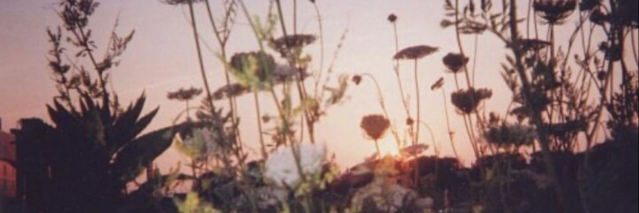 rayssaa401's profile banner image