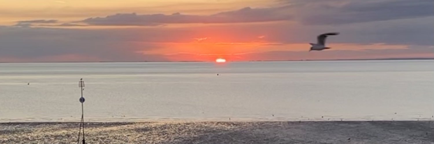 Alison Berry 🇪🇺 banner