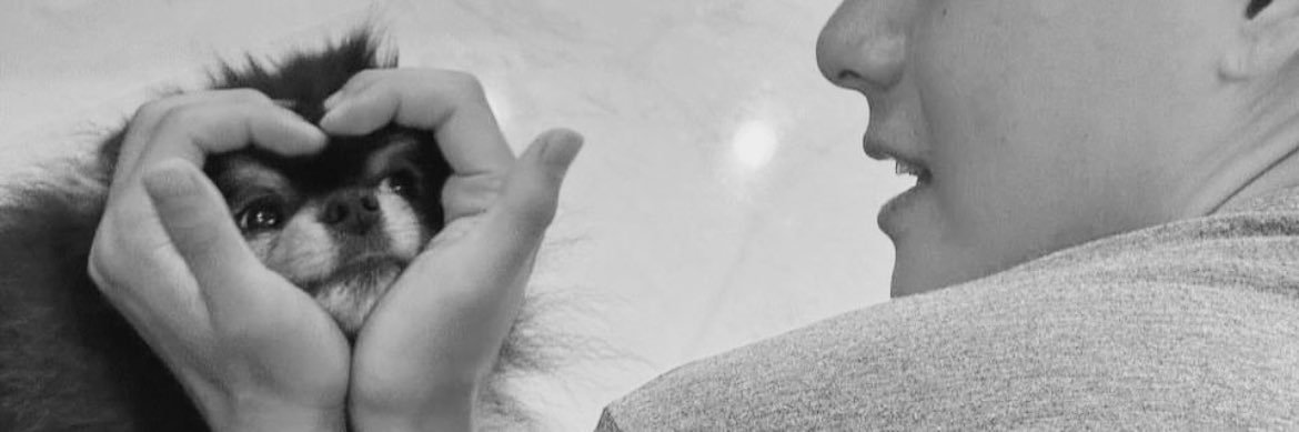 미키 banner