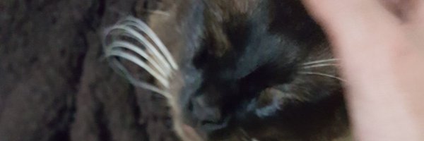 JellyGomas Profile Banner