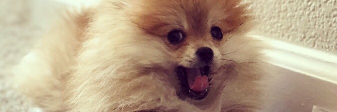 giannarae_'s profile banner image