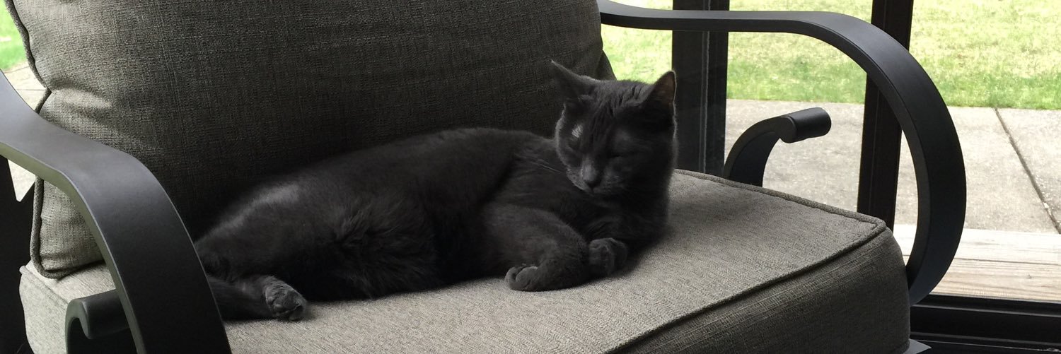 Heidi Grunenberg banner