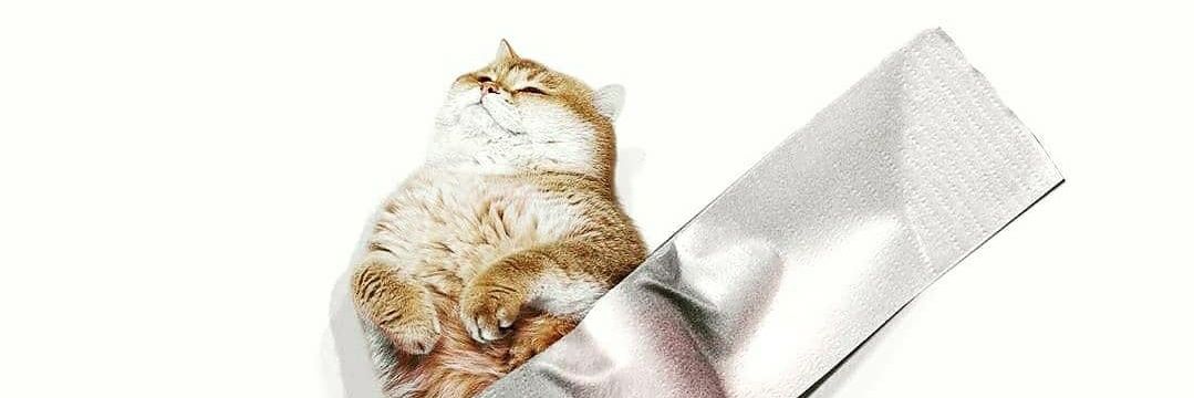 Bernie Leinfelder banner