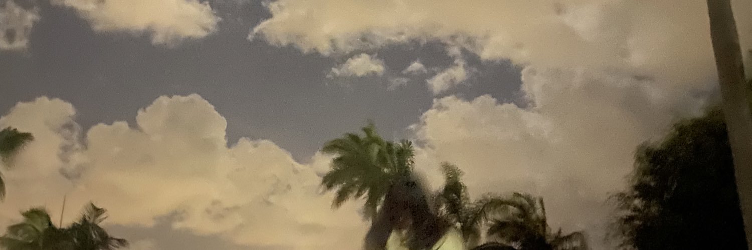 RosaEcho's profile banner image