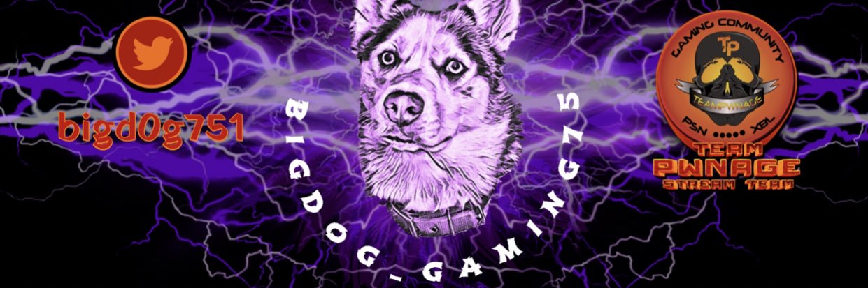 bigd0g751's profile banner image
