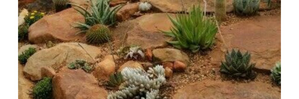 umthamer_1's profile banner image