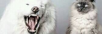 Satn01's profile banner image