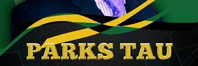 ParksTau  For Deputy Chair of ANC GP banner