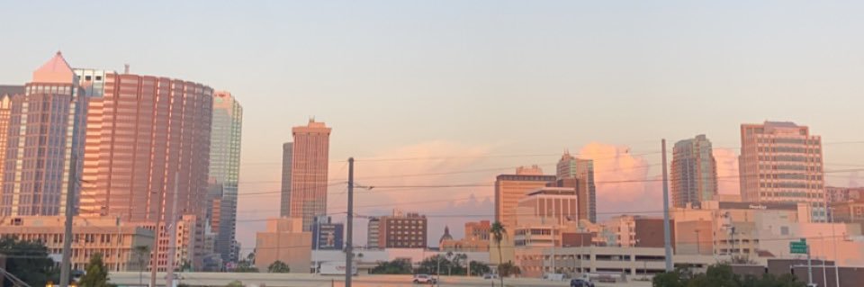 madison_dh's profile banner image