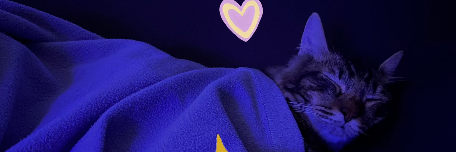 amzeeqabdullah's profile banner image