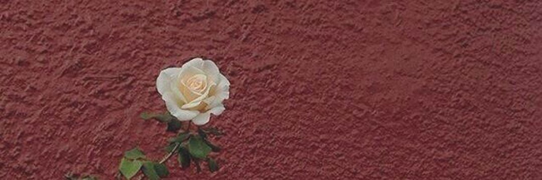 AdekAdeel's profile banner image