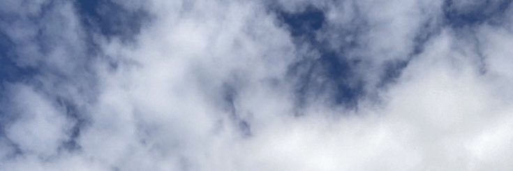 amelie schenk banner