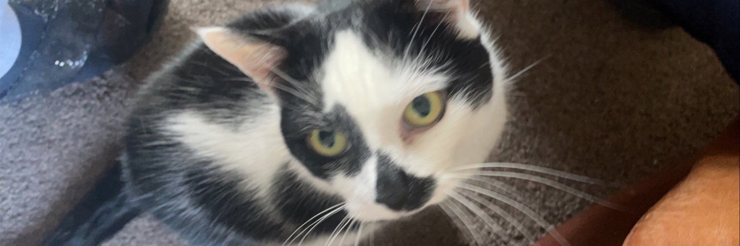 froglover7713's profile banner image