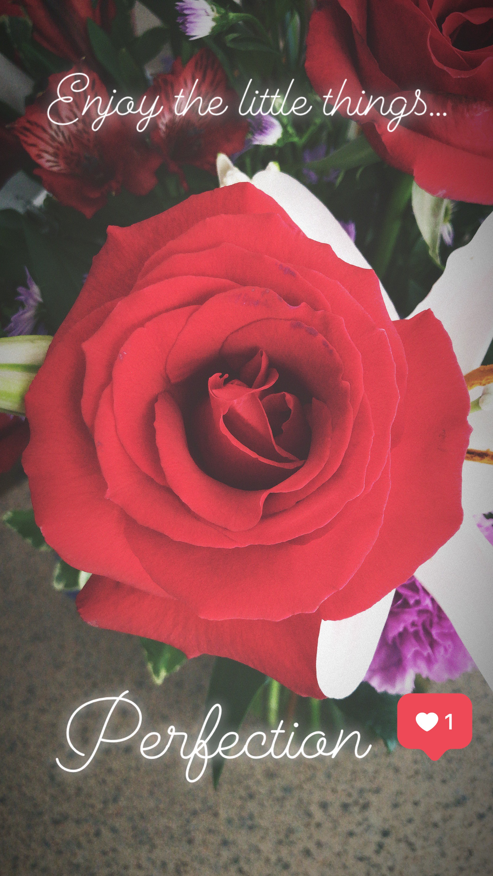 chelily33's profile banner image