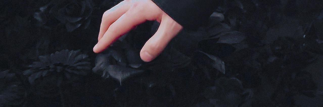edlws's profile banner image