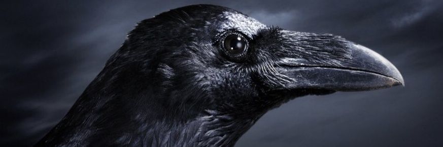 TomRK𝕊 banner