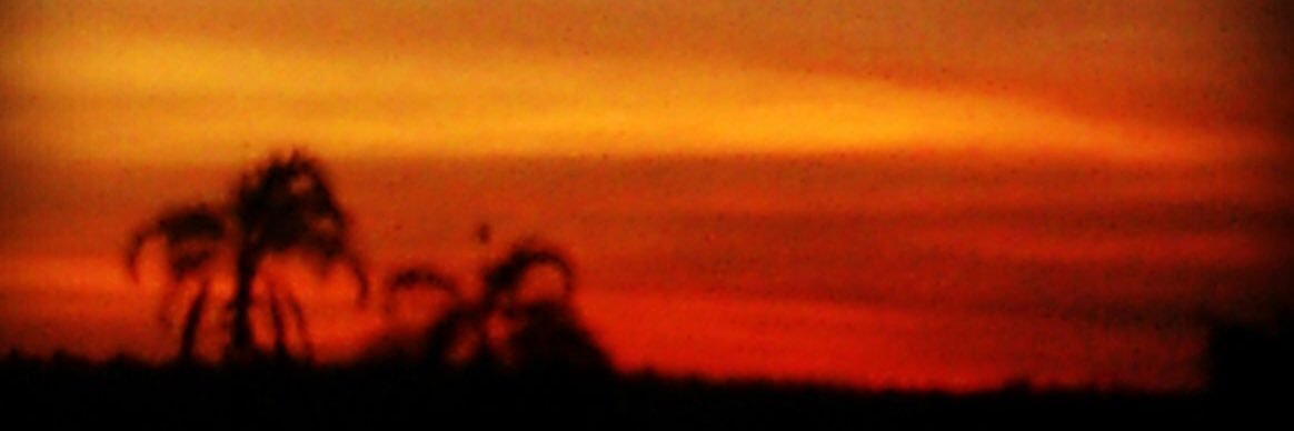 teusaguiarc's profile banner image