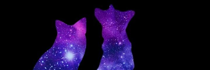 BemisTameka's profile banner image