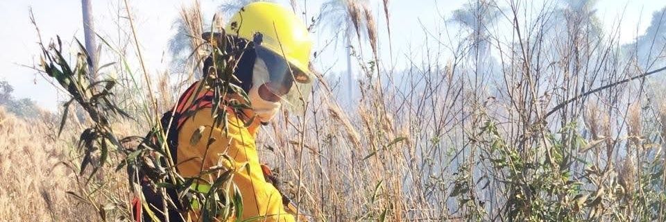 LucasMachadoo17's profile banner image
