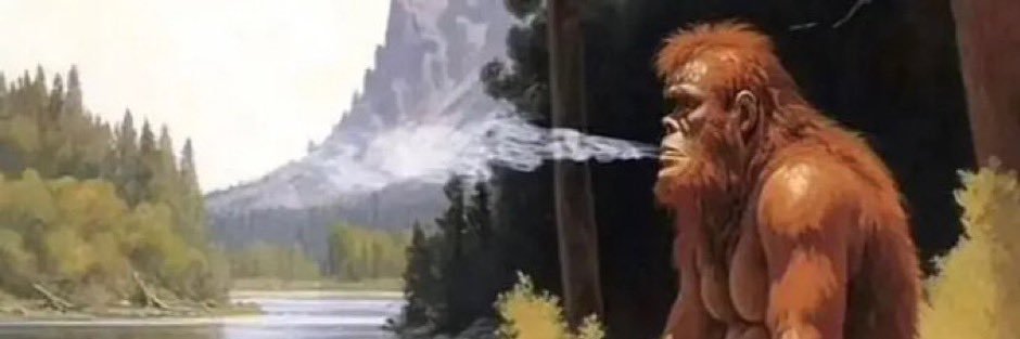 RobVanDamm13's profile banner image
