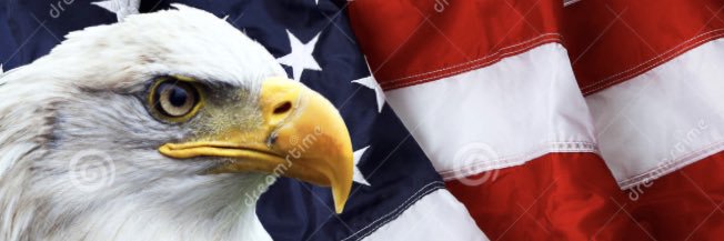 CalBug235's profile banner image