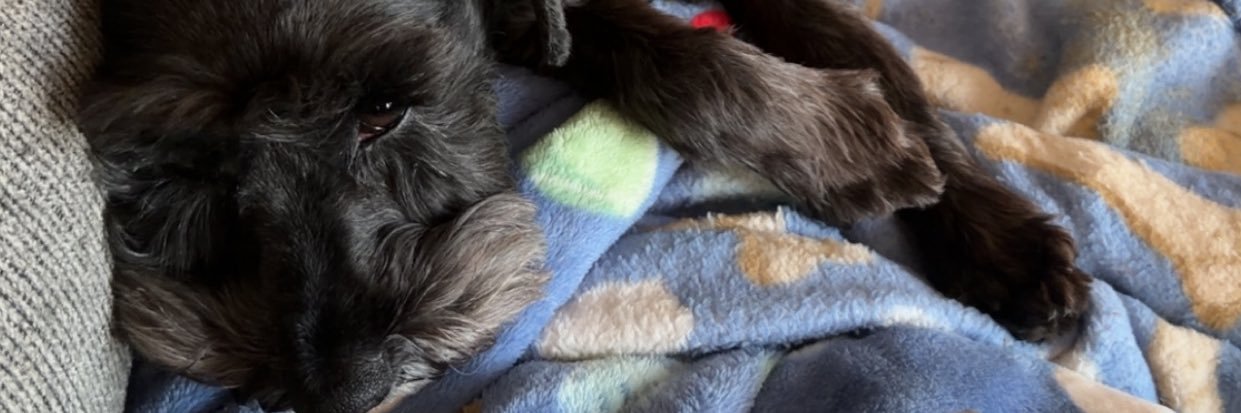 Amanda Mullins banner