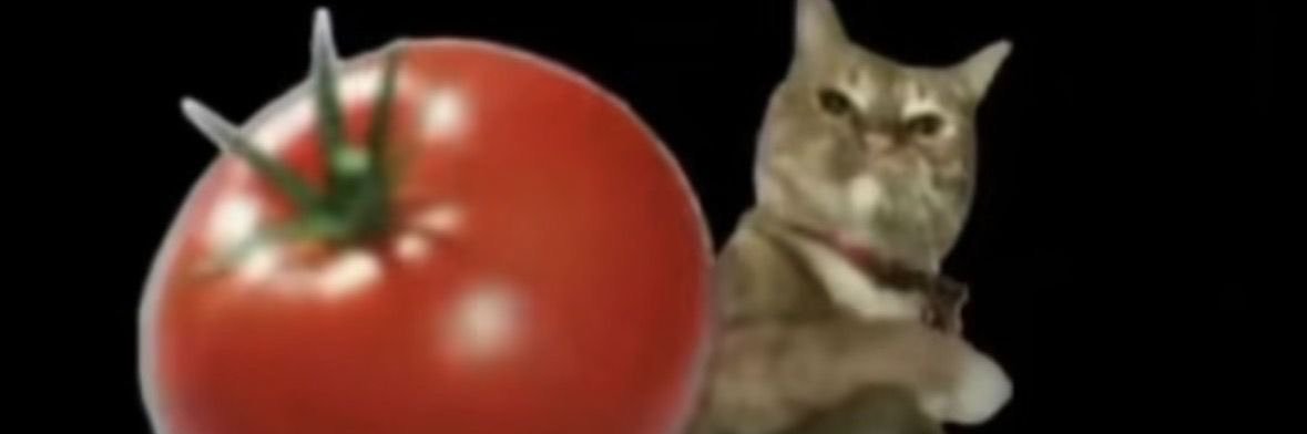 Katie17798's profile banner image