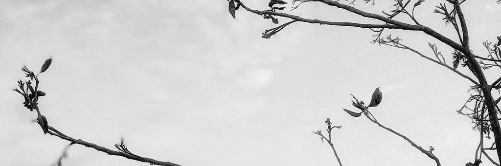 ____885's profile banner image