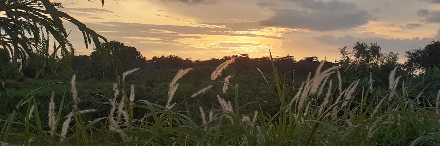 kaaa_ika's profile banner image