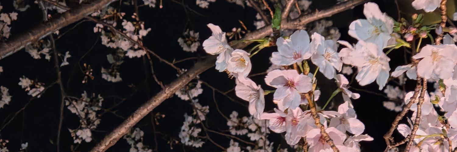darakebu's profile banner image