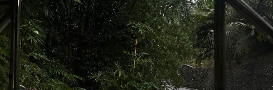 uriiiisunshine's profile banner image