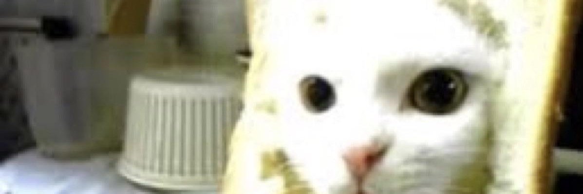 another ending banner