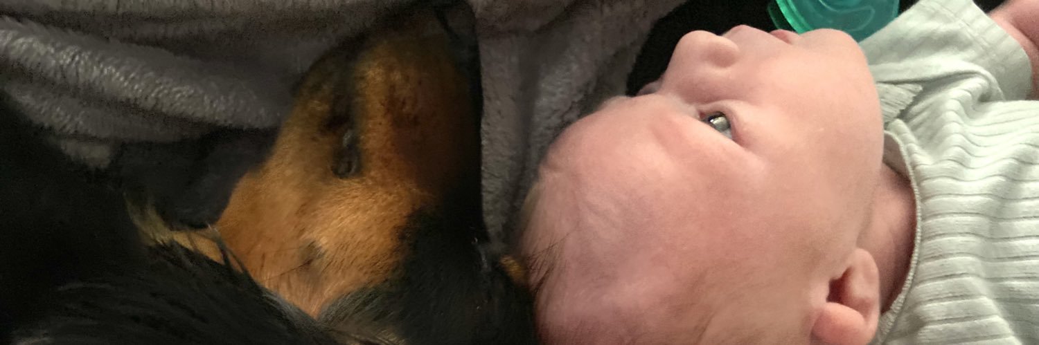 Ribs_3's profile banner image