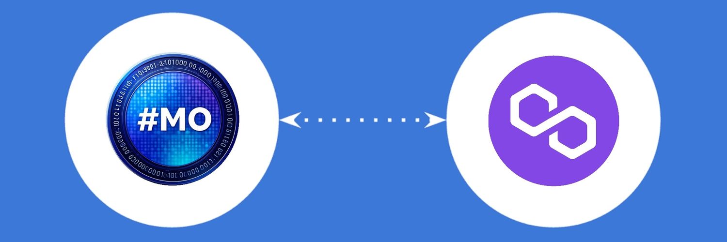 HashMo.xyz banner